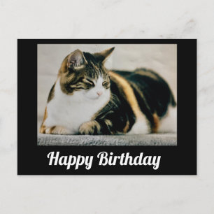 Carte Postale Chat calicot endormi Joyeux Anniversaire