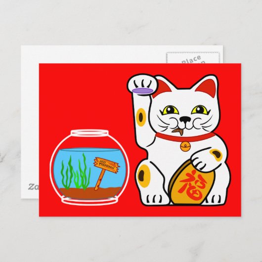 Carte Postale Chat chanceux. Poisson malchanceux (Devant / Derrière)