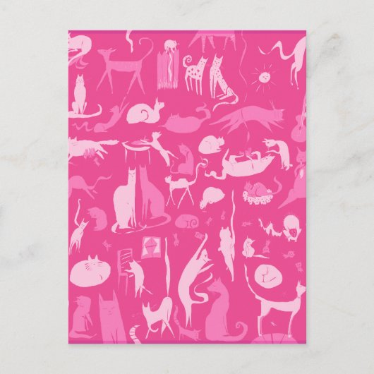 Carte Postale Chat! Chat! Chat! (Devant)