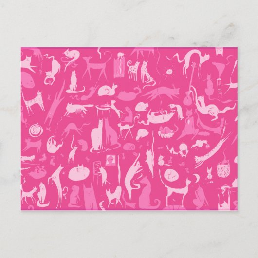 Carte Postale Chat! Chat! Chat! (Devant)