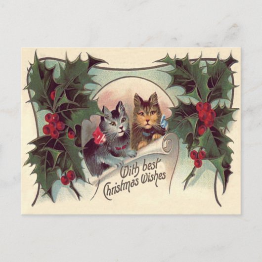 Carte Postale Chat Chaton Holly (Devant)