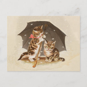 Carte Postale Chat Chaton minou antique vintage joli mignon 