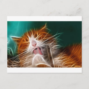 Carte Postale chat chaton minous mignon animal familier ronron m
