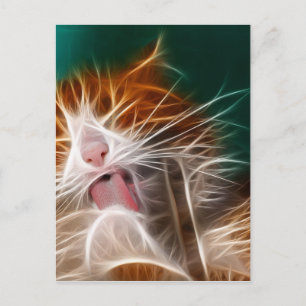 Carte Postale chat chaton minous mignon animal familier ronron m