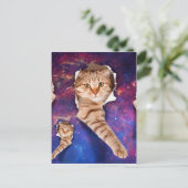 Carte Postale Chat cherchant dans l'espace côté trou déchiré (Debout devant)
