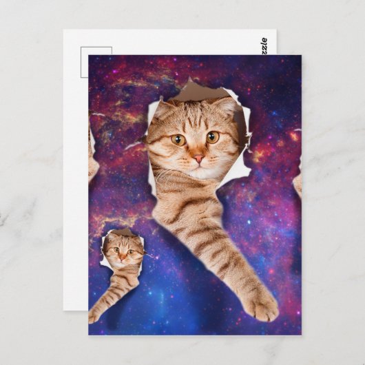 Carte Postale Chat cherchant dans l'espace côté trou déchiré (Devant / Derrière)