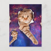 Carte Postale Chat cherchant dans l'espace côté trou déchiré (Devant)