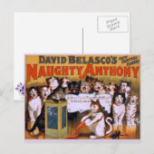 Carte Postale Chat Chorus ! -Carte postale (Devant / Derrière)