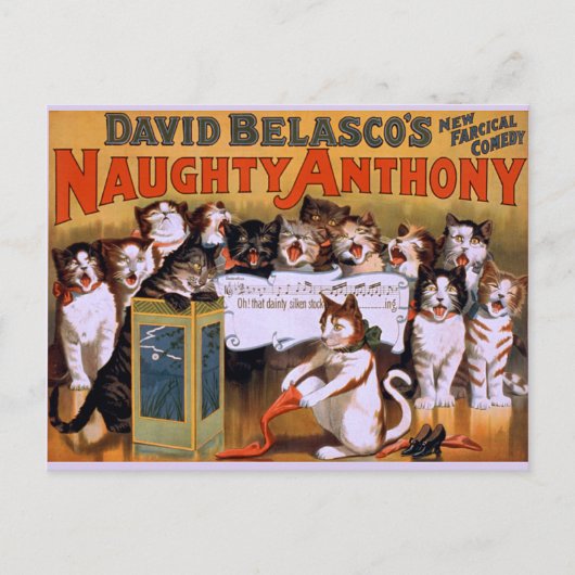 Carte Postale Chat Chorus ! -Carte postale (Devant)