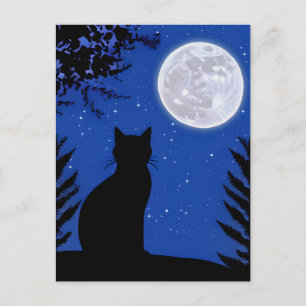 Carte Postale Chat contemplant la pleine lune 