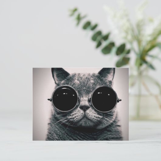 Carte Postale chat cool ! (Debout devant)