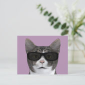 Carte Postale Chat cool Avec Lunettes De Soleil Noir (Debout devant)