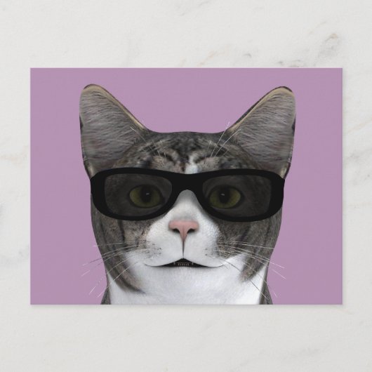 Carte Postale Chat cool Avec Lunettes De Soleil Noir (Devant)