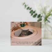 Carte Postale chat cool de l'été (Debout devant)