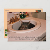 Carte Postale chat cool de l'été (Devant / Derrière)