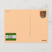 Carte Postale chat cool de l'été (Dos)