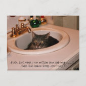 Carte Postale chat cool de l'été (Devant)