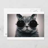 Carte Postale chat cool kat kool avec des ombres (Devant / Derrière)