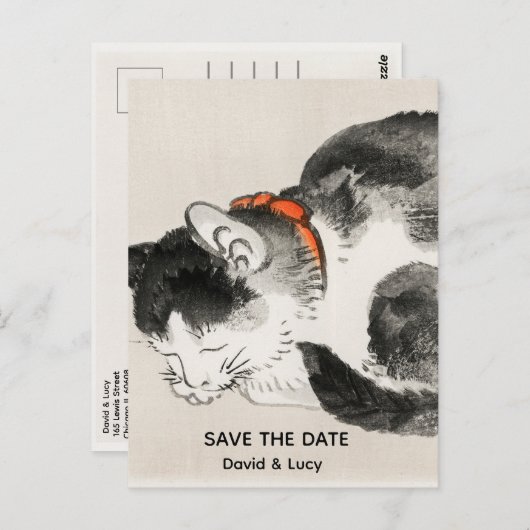 Carte Postale Chat couché (Devant / Derrière)