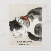 Carte Postale Chat couché (Devant)