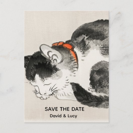 Carte Postale Chat couché (Devant)