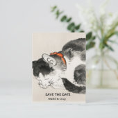 Carte Postale Chat couché (Debout devant)