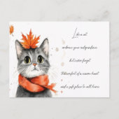 Carte Postale Chat Cozy dans une Écharpe  (Devant)