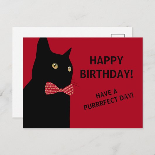 Carte Postale Chat d'Anniversaire Noir Joyeux avec une Cravate d (Devant / Derrière)