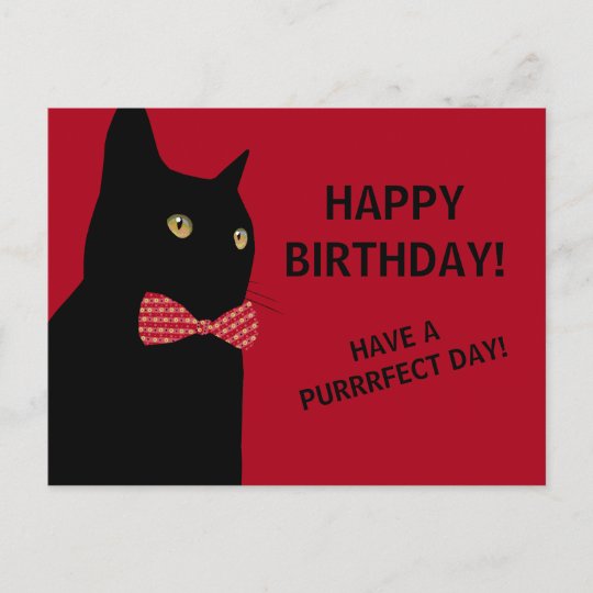 Carte postale costume le chat noir