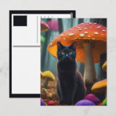 Carte Postale chat dans des champignons colorés (Devant / Derrière)