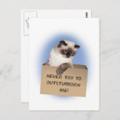 Carte Postale Chat dans la boîte (Devant / Derrière)