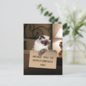 Carte Postale Chat dans la boîte (Debout devant)