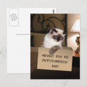 Carte Postale Chat dans la boîte (Devant / Derrière)