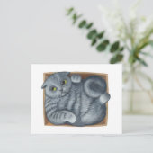 Carte Postale Chat dans la boîte (Debout devant)