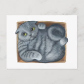 Carte Postale Chat dans la boîte (Devant)
