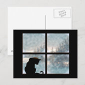 Carte Postale chat dans la fenêtre (Devant / Derrière)