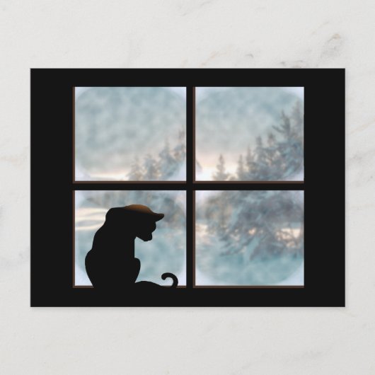 Carte Postale chat dans la fenêtre (Devant)