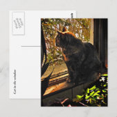 Carte Postale Chat dans la fenêtre (Devant / Derrière)