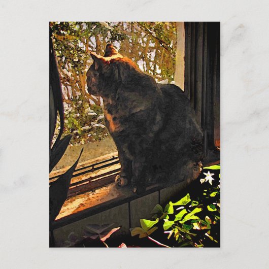 Carte Postale Chat dans la fenêtre (Devant)
