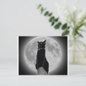 Carte Postale Chat dans la lune (Debout devant)