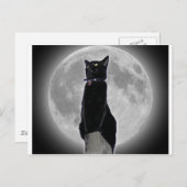 Carte Postale Chat dans la lune (Devant / Derrière)