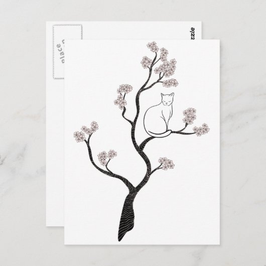 Carte Postale Chat dans l'arbre en fleurs de cerisiers (Devant / Derrière)