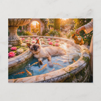 Carte Postale Chat dans le bassin du jardin au coucher du soleil