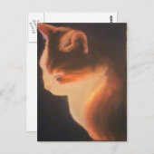 Carte Postale Chat dans le noir (Devant / Derrière)