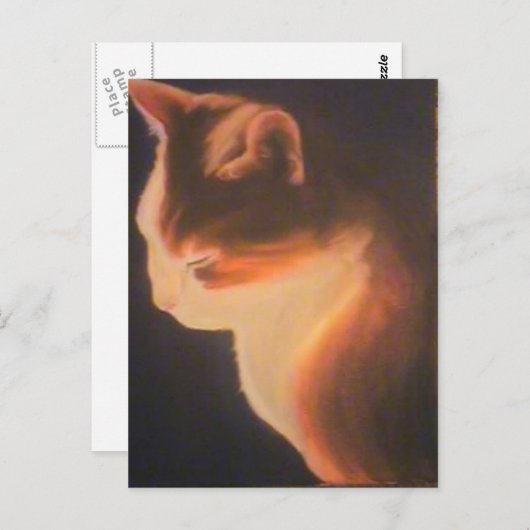 Carte Postale Chat dans le noir (Devant / Derrière)