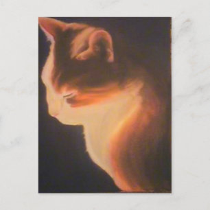 Carte Postale Chat dans le noir