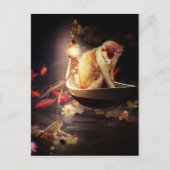 Carte Postale Chat dans un bateau (Devant)