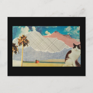 Carte Postale Chat dans un paysage étrange