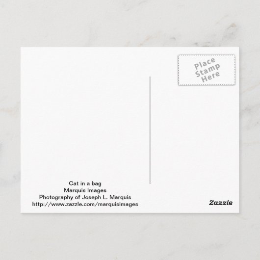 Carte Postale Chat dans un sac (Dos)