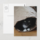 Carte Postale Chat dans un sac 2 (Devant / Derrière)
